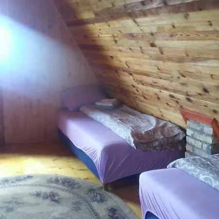 בית נופש Ema Plesin